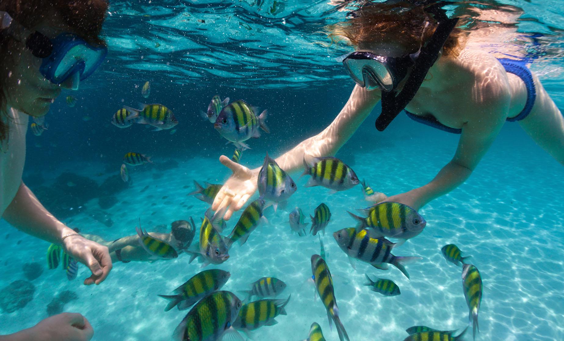Snorkeling & Diving Adventures-1